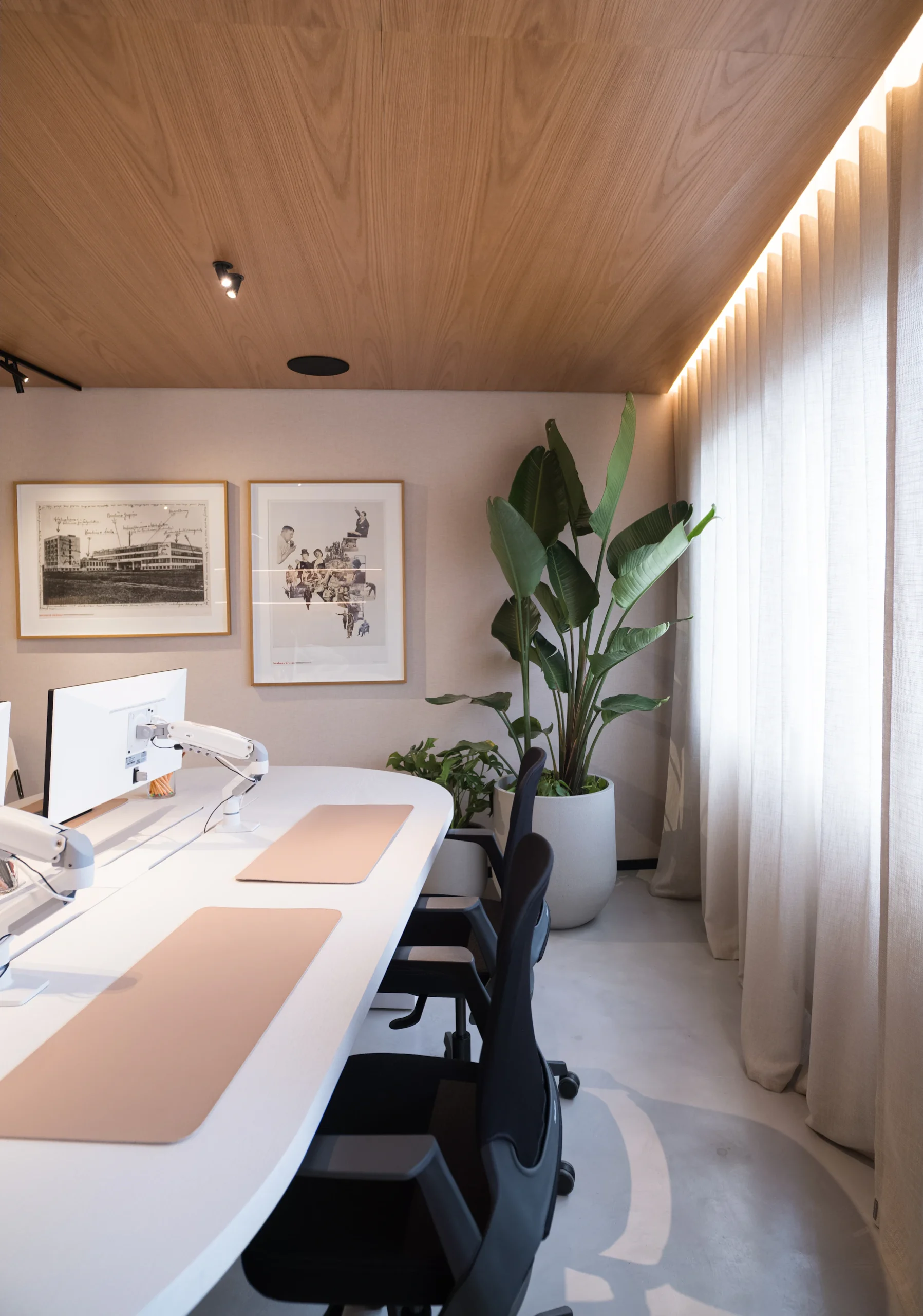 A light contemporary workspace with plants and natural materials